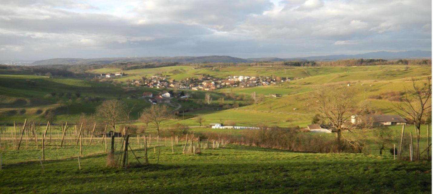 Olsberg