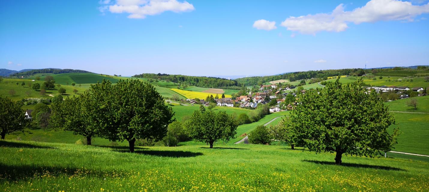 Bild Olsberg Frühling