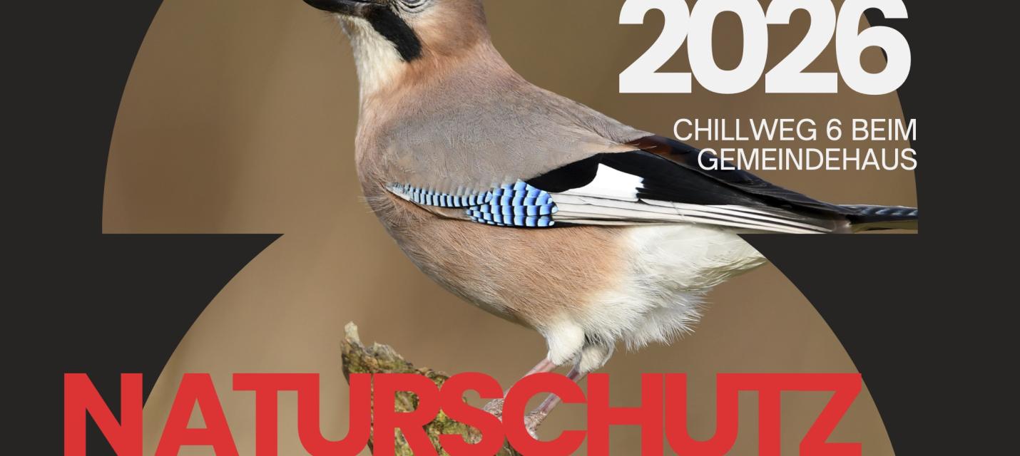 Der NVO wird 100 Jahre alt. Dies feiern wir mit einem Fest für das ganze Dorf.
